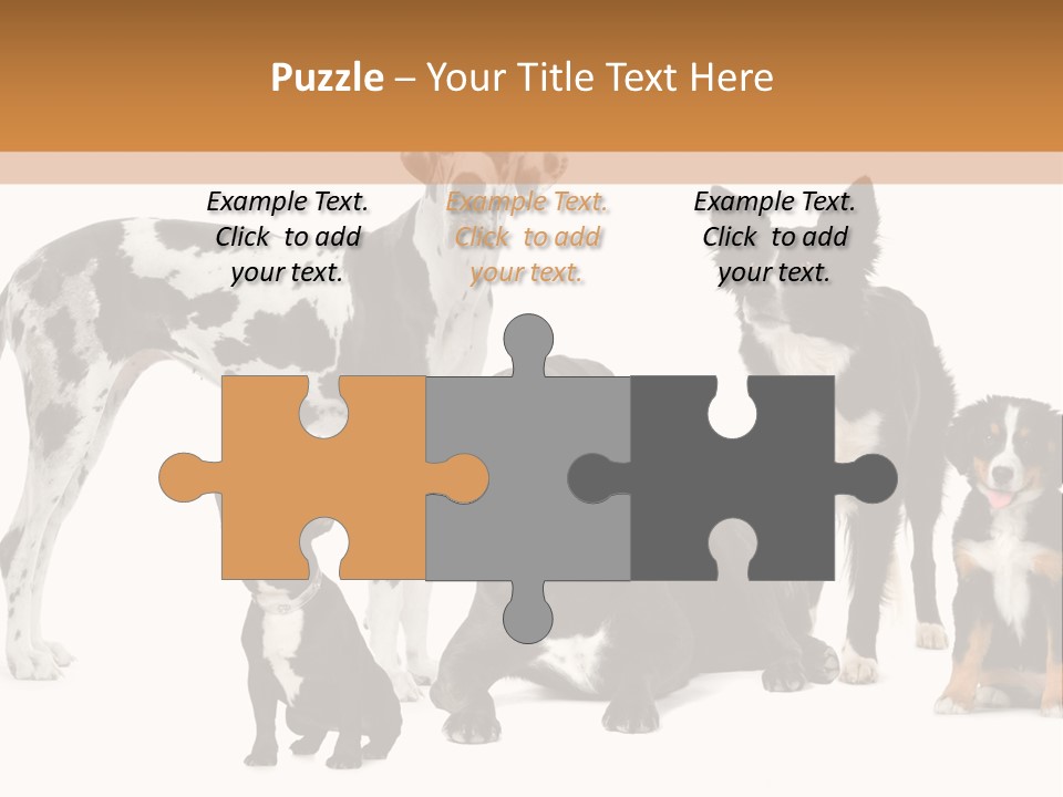 Group Of Dogs In Front Of A White Background PowerPoint Template