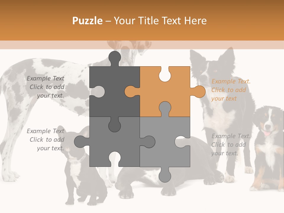 Group Of Dogs In Front Of A White Background PowerPoint Template