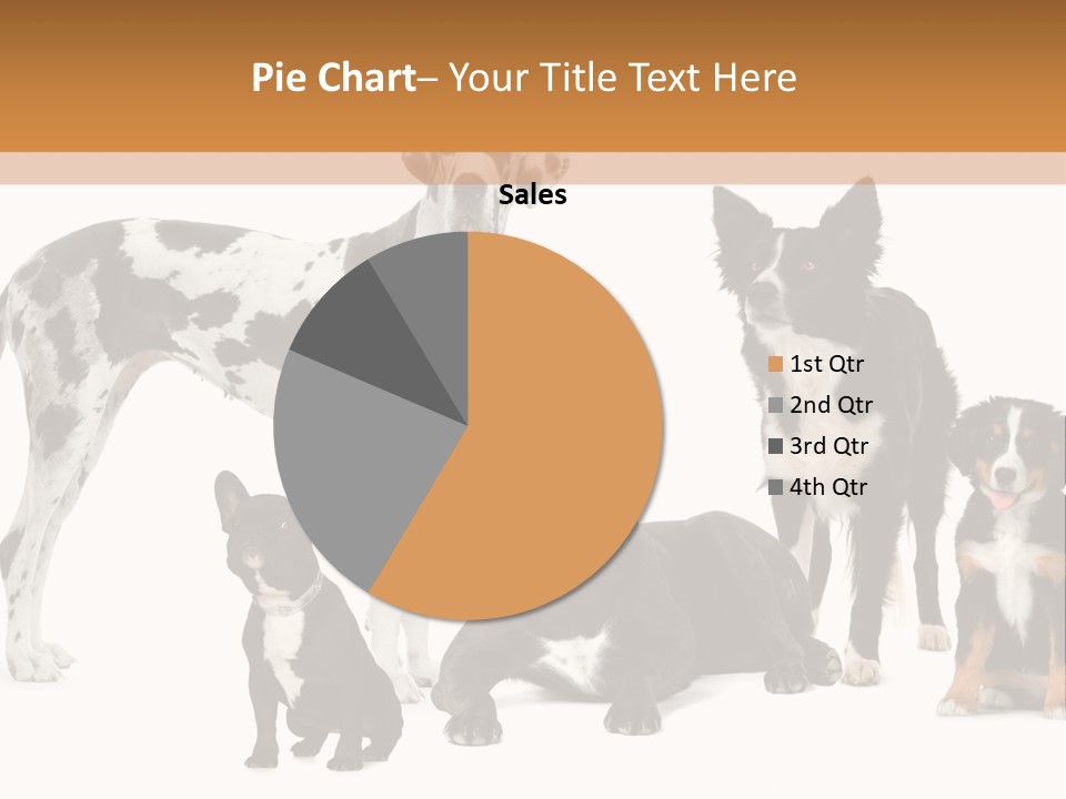 Group Of Dogs In Front Of A White Background PowerPoint Template