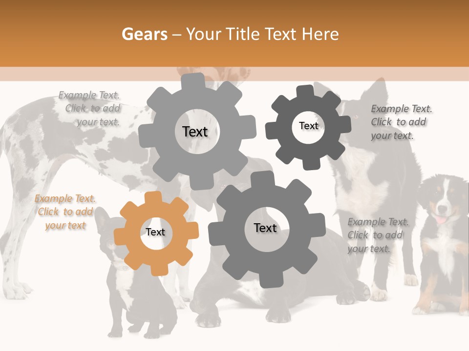 Group Of Dogs In Front Of A White Background PowerPoint Template