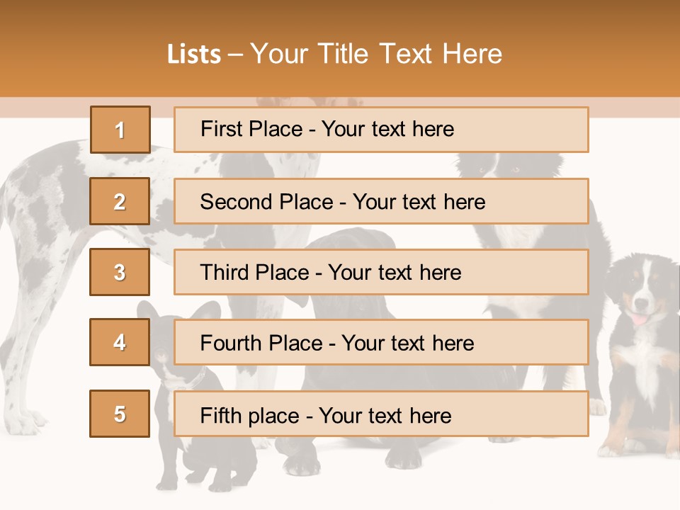 Group Of Dogs In Front Of A White Background PowerPoint Template