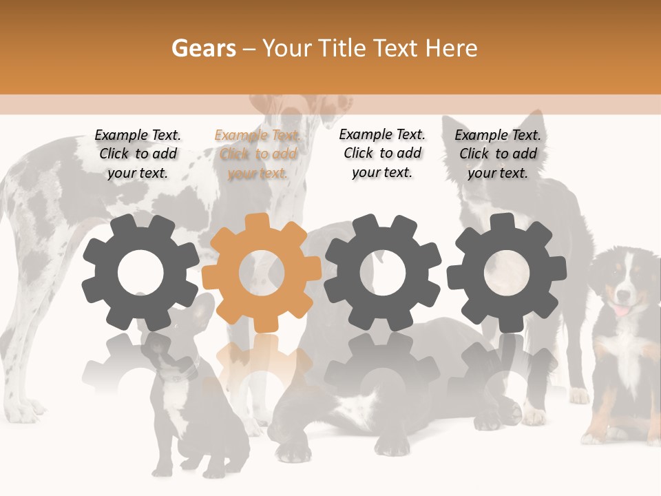 Group Of Dogs In Front Of A White Background PowerPoint Template