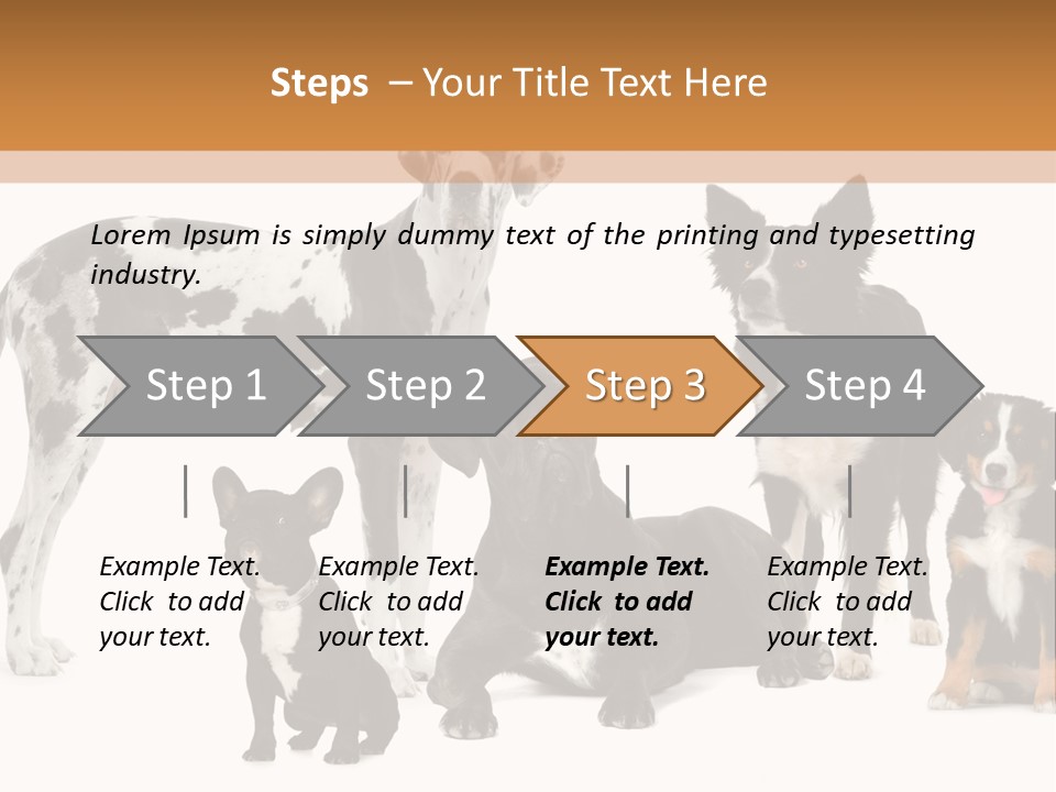 Group Of Dogs In Front Of A White Background PowerPoint Template