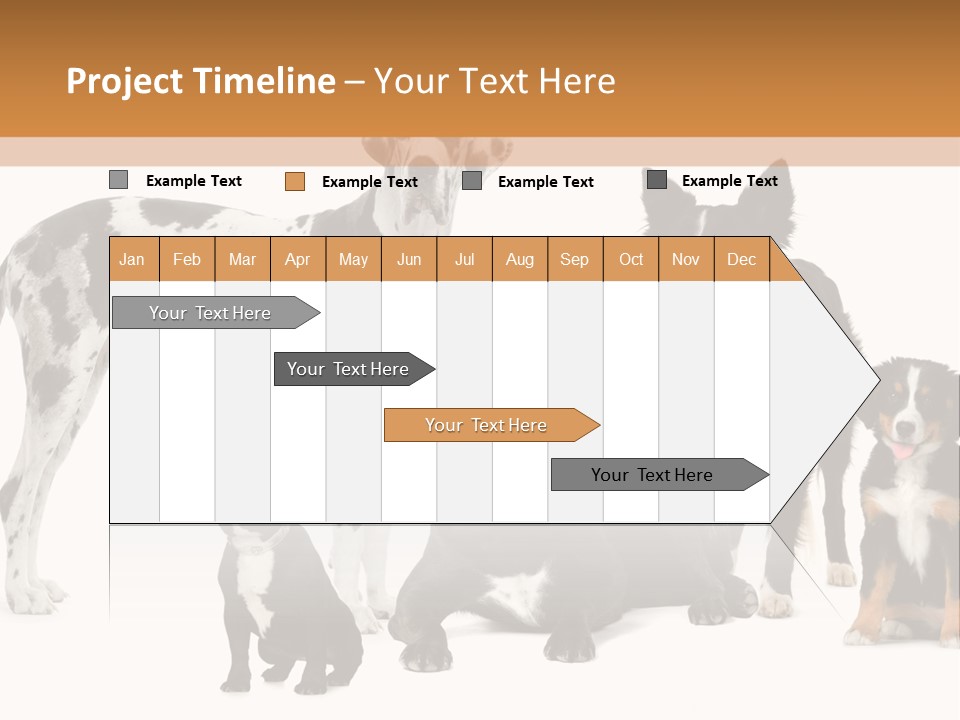 Group Of Dogs In Front Of A White Background PowerPoint Template