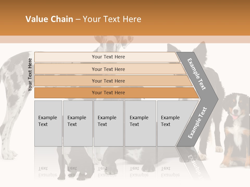 Group Of Dogs In Front Of A White Background PowerPoint Template