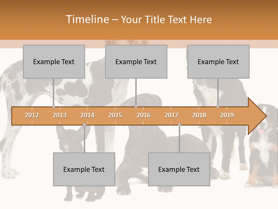 Group Of Dogs In Front Of A White Background PowerPoint Template