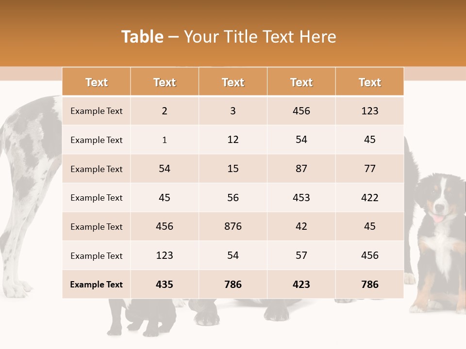 Group Of Dogs In Front Of A White Background PowerPoint Template