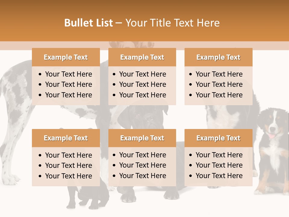 Group Of Dogs In Front Of A White Background PowerPoint Template