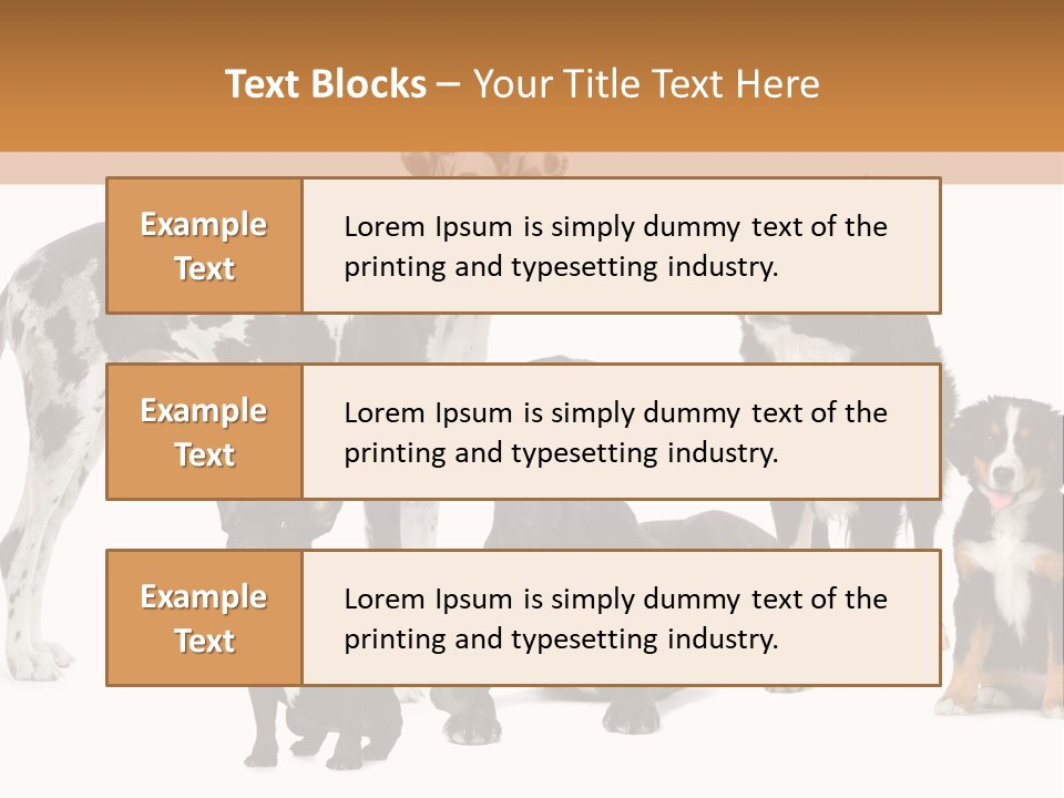 Group Of Dogs In Front Of A White Background PowerPoint Template