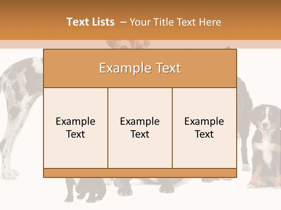 Group Of Dogs In Front Of A White Background PowerPoint Template