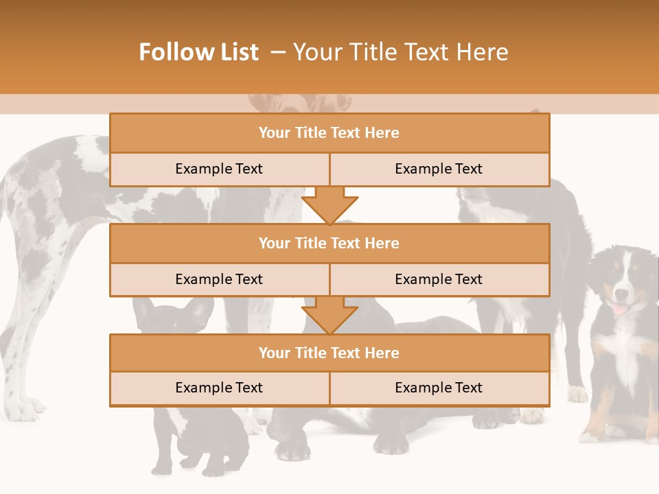 Group Of Dogs In Front Of A White Background PowerPoint Template