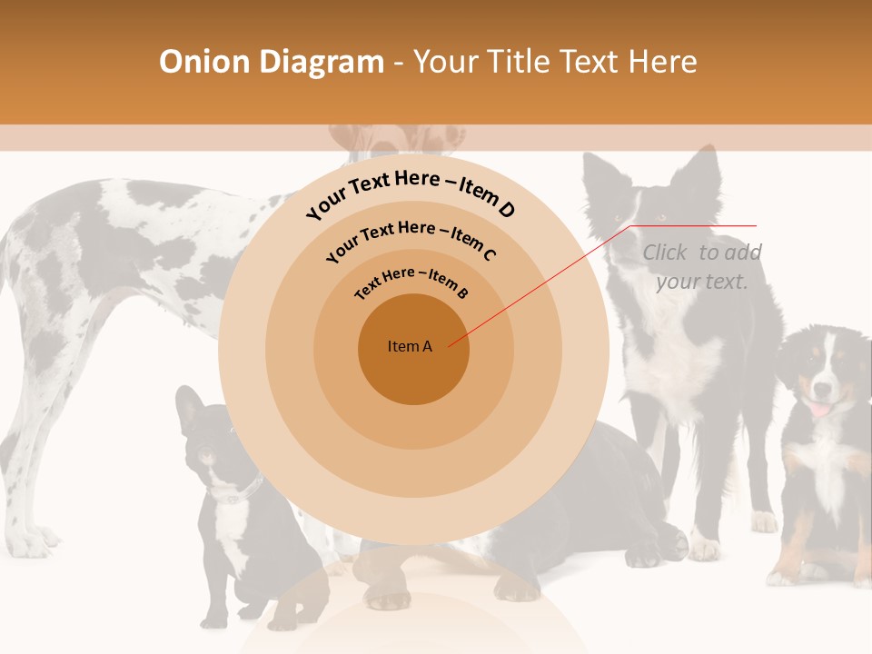 Group Of Dogs In Front Of A White Background PowerPoint Template