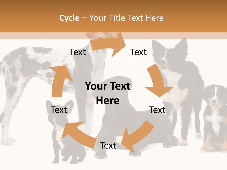 Group Of Dogs In Front Of A White Background PowerPoint Template