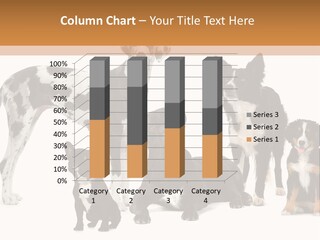 Group Of Dogs In Front Of A White Background PowerPoint Template