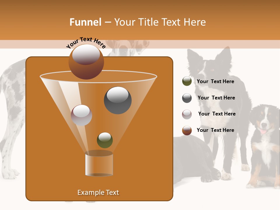 Group Of Dogs In Front Of A White Background PowerPoint Template