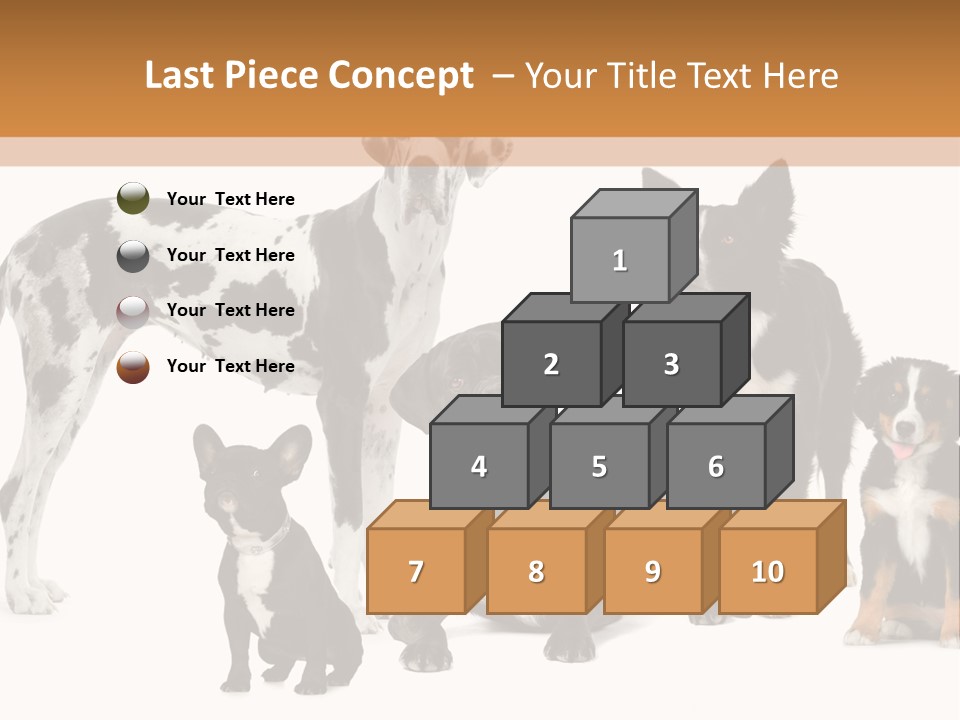 Group Of Dogs In Front Of A White Background PowerPoint Template