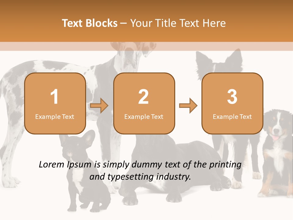 Group Of Dogs In Front Of A White Background PowerPoint Template