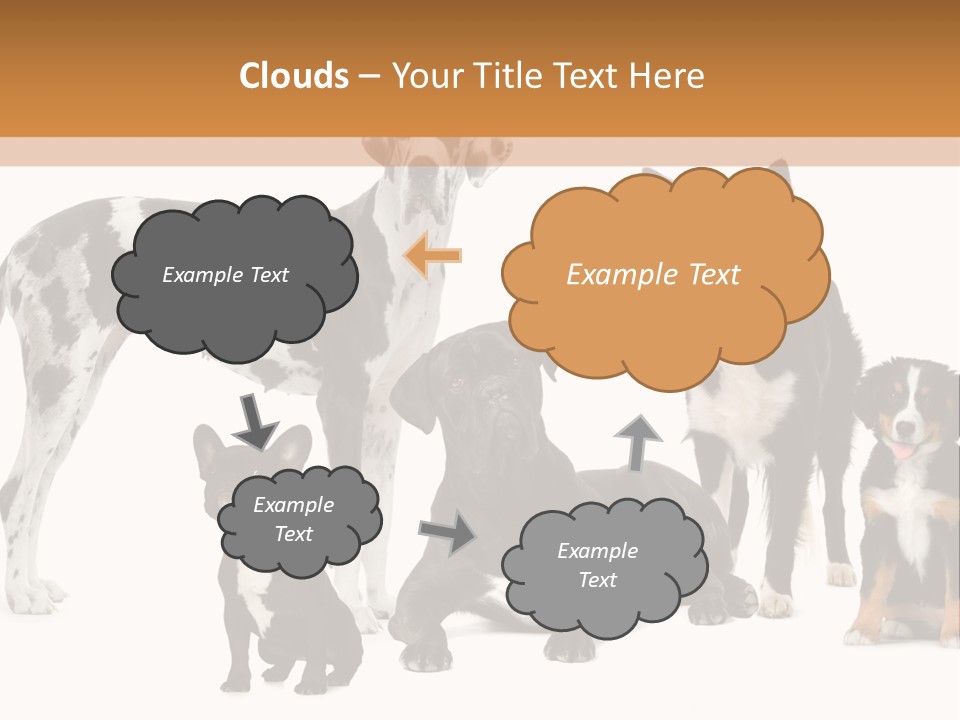 Group Of Dogs In Front Of A White Background PowerPoint Template