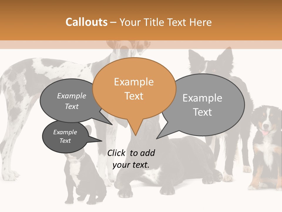 Group Of Dogs In Front Of A White Background PowerPoint Template