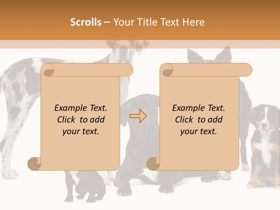 Group Of Dogs In Front Of A White Background PowerPoint Template