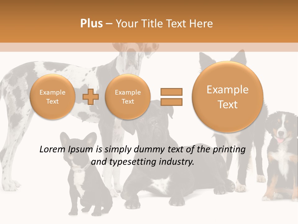 Group Of Dogs In Front Of A White Background PowerPoint Template