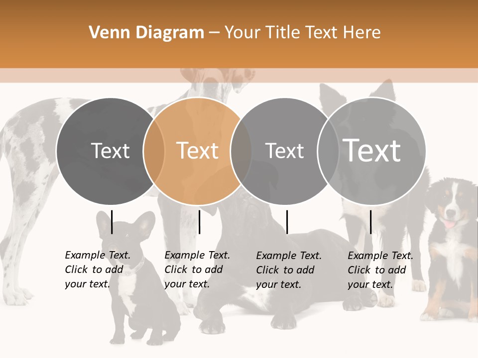 Group Of Dogs In Front Of A White Background PowerPoint Template