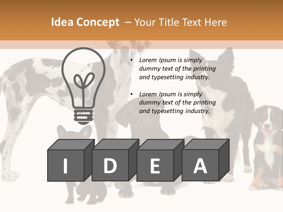 Group Of Dogs In Front Of A White Background PowerPoint Template