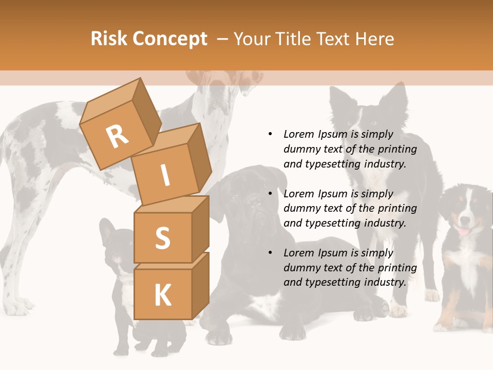 Group Of Dogs In Front Of A White Background PowerPoint Template