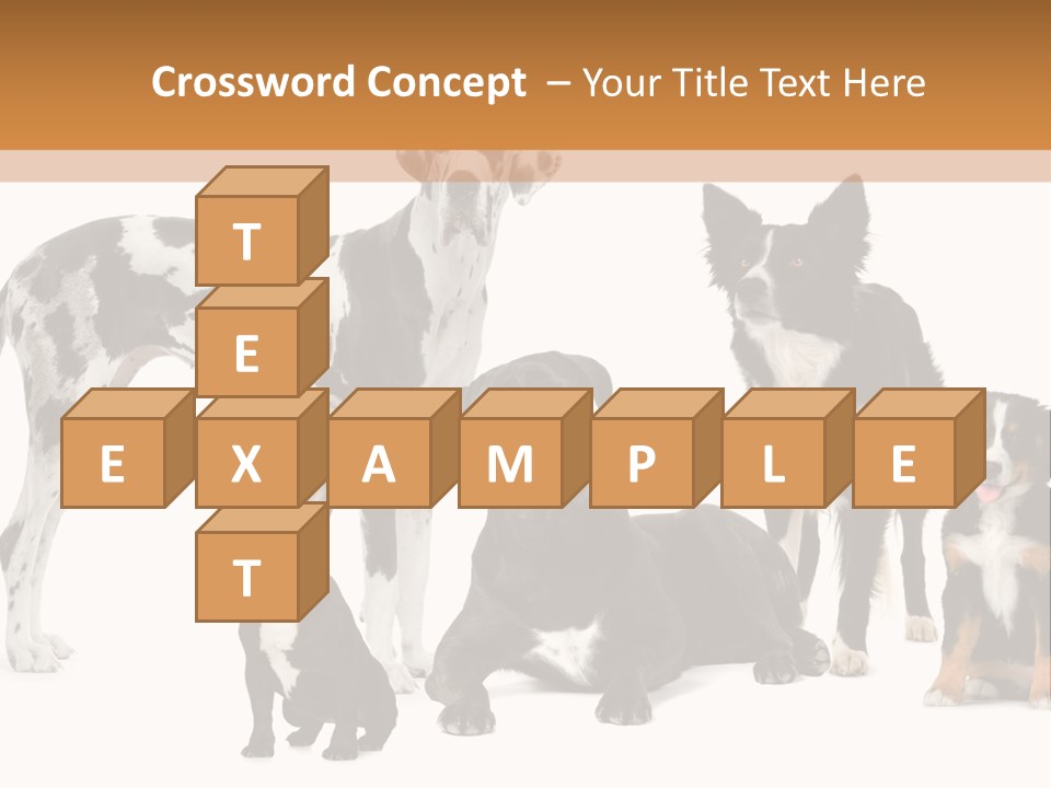 Group Of Dogs In Front Of A White Background PowerPoint Template