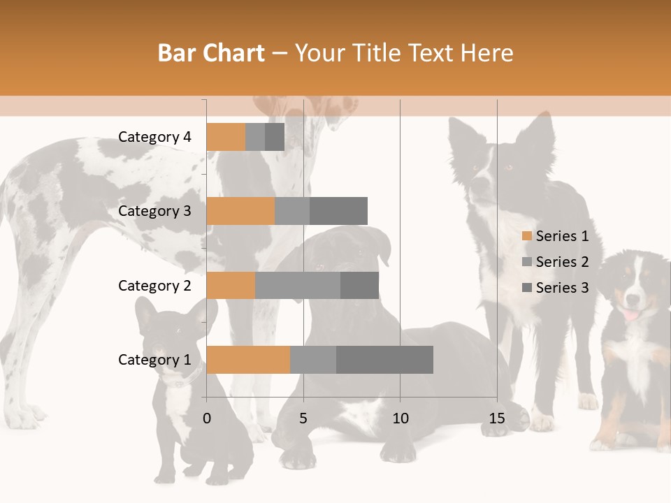 Group Of Dogs In Front Of A White Background PowerPoint Template