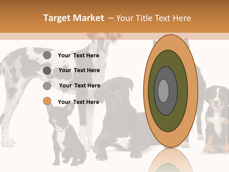 Group Of Dogs In Front Of A White Background PowerPoint Template