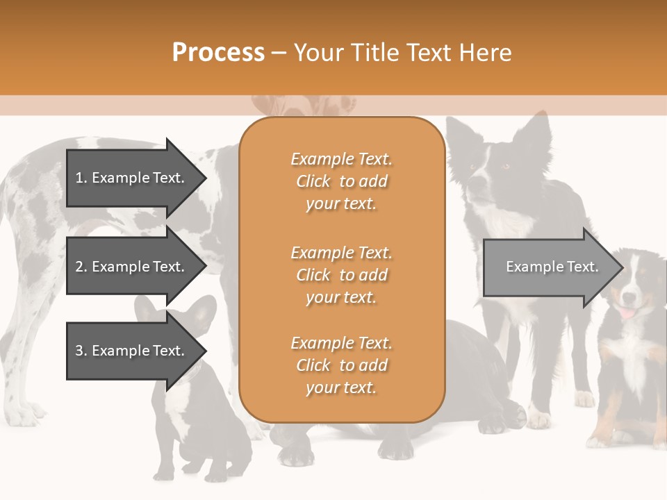 Group Of Dogs In Front Of A White Background PowerPoint Template
