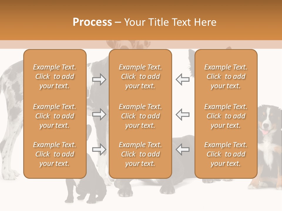 Group Of Dogs In Front Of A White Background PowerPoint Template