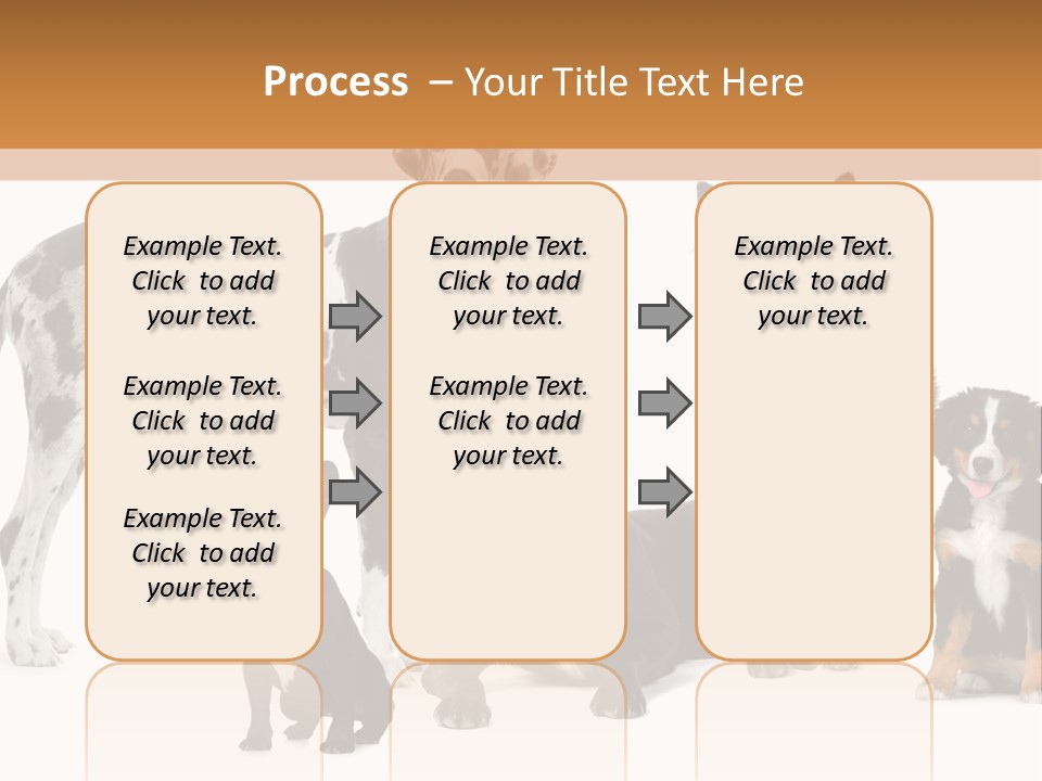 Group Of Dogs In Front Of A White Background PowerPoint Template