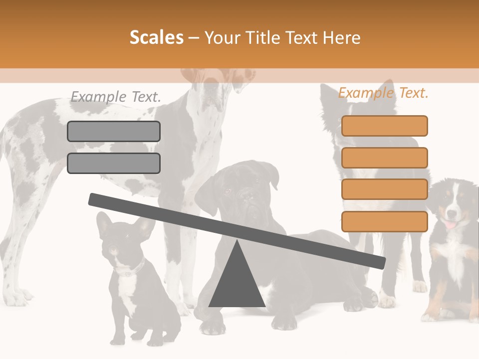 Group Of Dogs In Front Of A White Background PowerPoint Template