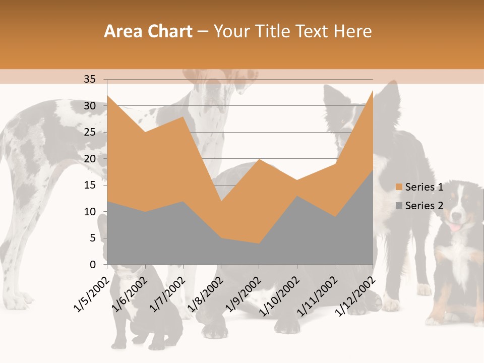 Group Of Dogs In Front Of A White Background PowerPoint Template