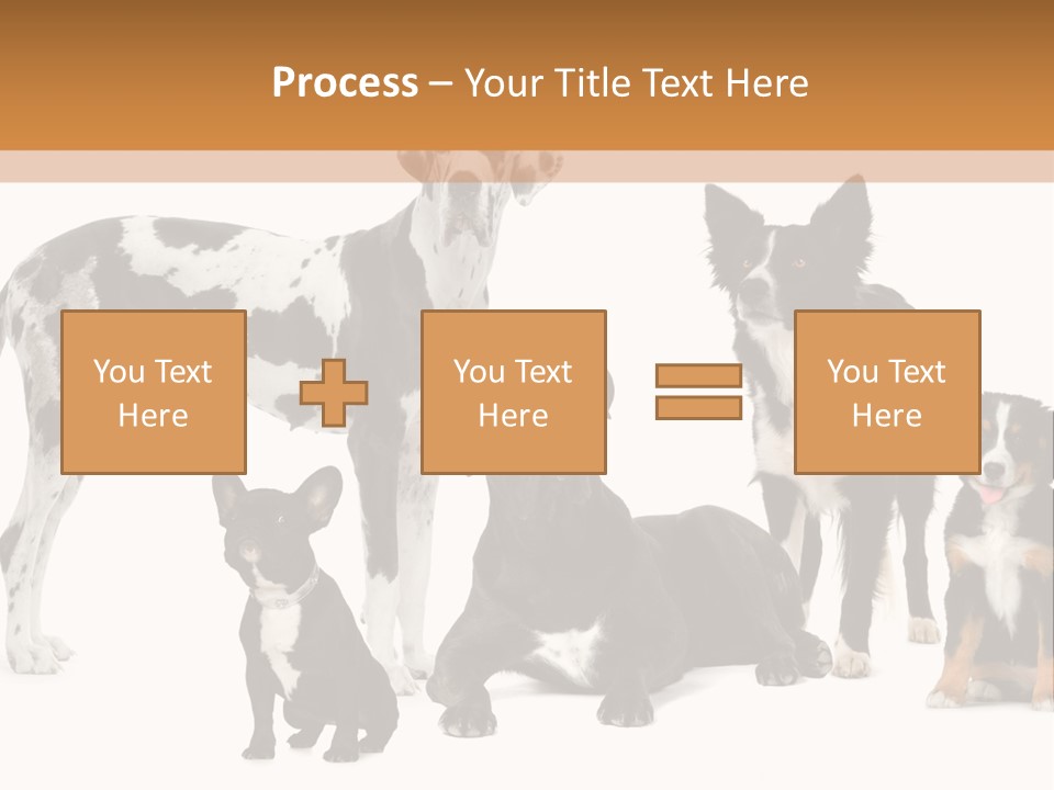 Group Of Dogs In Front Of A White Background PowerPoint Template