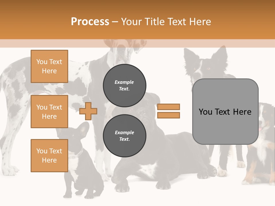 Group Of Dogs In Front Of A White Background PowerPoint Template