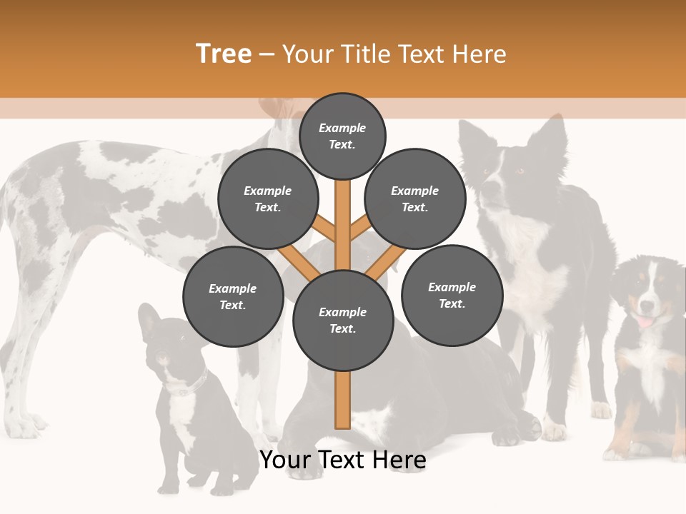 Group Of Dogs In Front Of A White Background PowerPoint Template