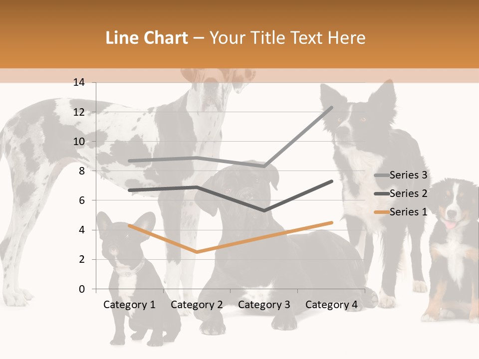 Group Of Dogs In Front Of A White Background PowerPoint Template