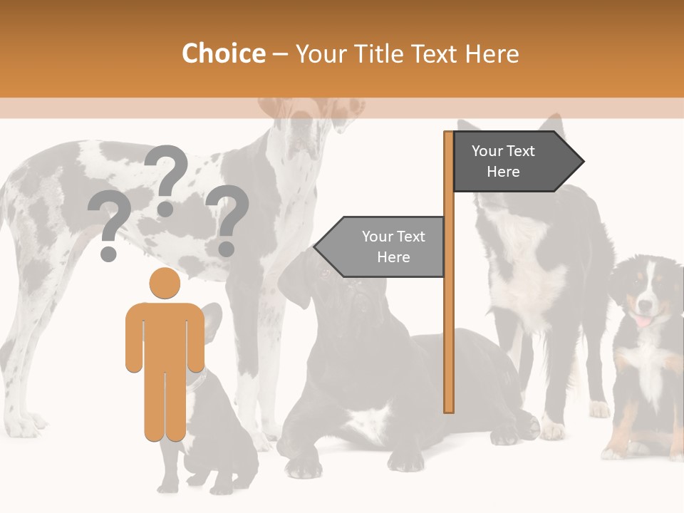 Group Of Dogs In Front Of A White Background PowerPoint Template