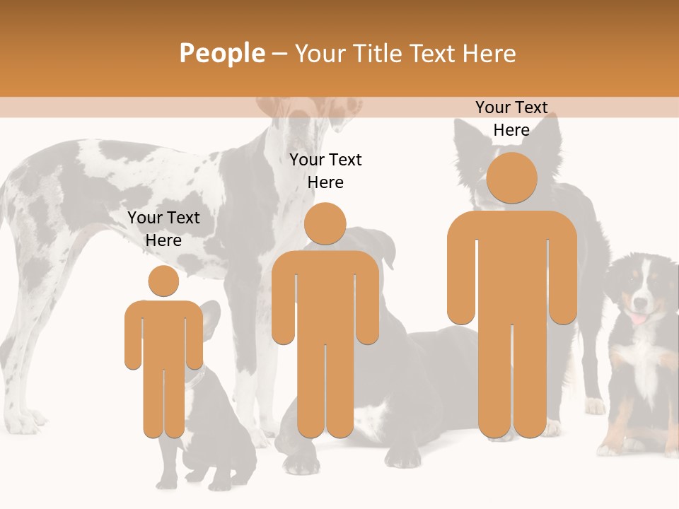 Group Of Dogs In Front Of A White Background PowerPoint Template