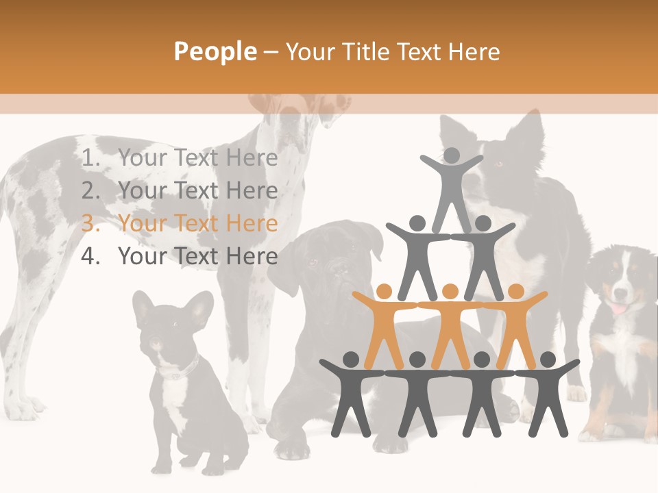 Group Of Dogs In Front Of A White Background PowerPoint Template