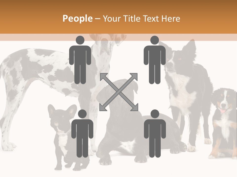 Group Of Dogs In Front Of A White Background PowerPoint Template