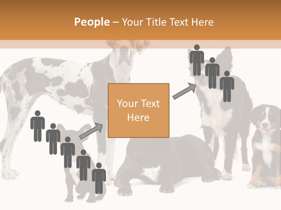 Group Of Dogs In Front Of A White Background PowerPoint Template