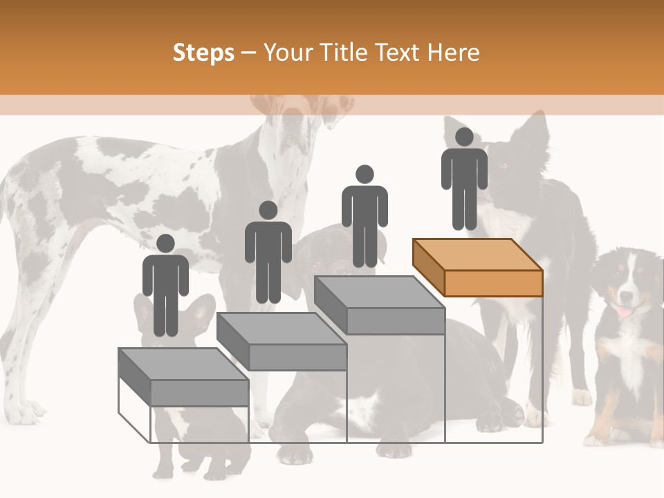 Group Of Dogs In Front Of A White Background PowerPoint Template