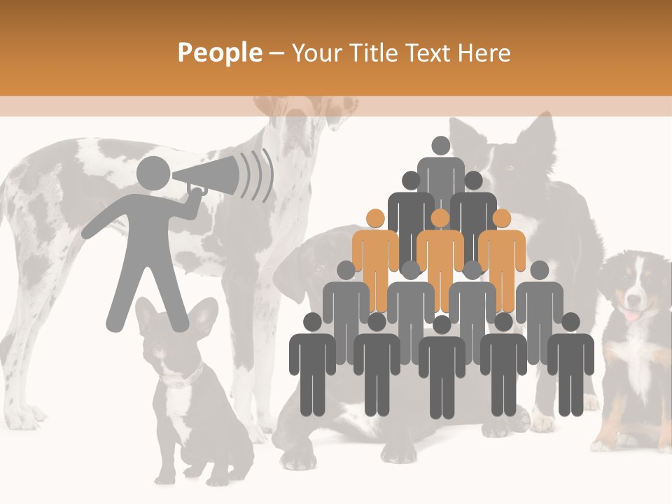 Group Of Dogs In Front Of A White Background PowerPoint Template