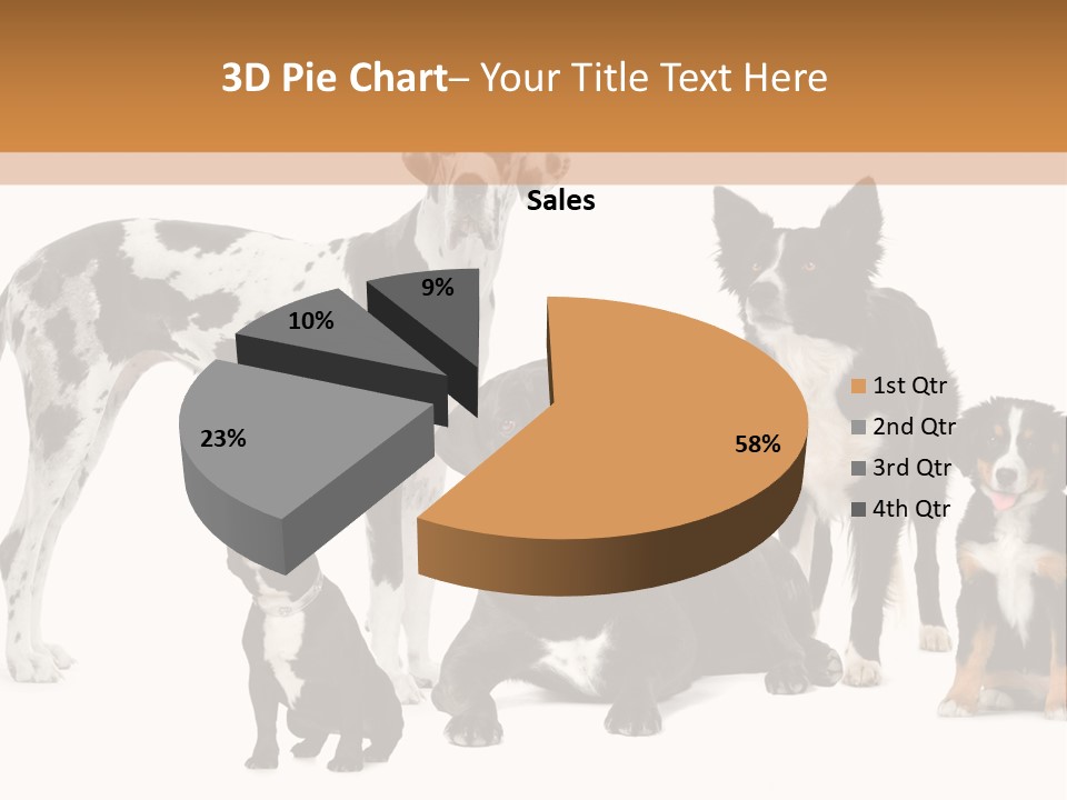 Group Of Dogs In Front Of A White Background PowerPoint Template