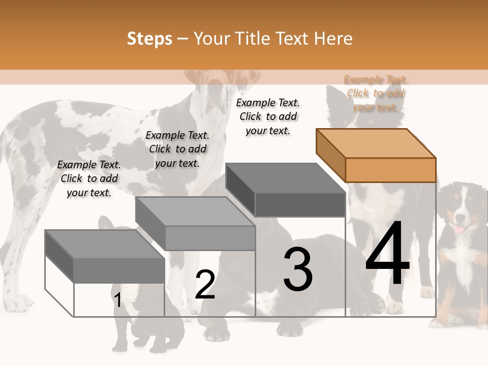 Group Of Dogs In Front Of A White Background PowerPoint Template