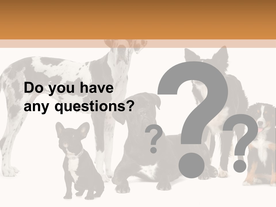 Group Of Dogs In Front Of A White Background PowerPoint Template